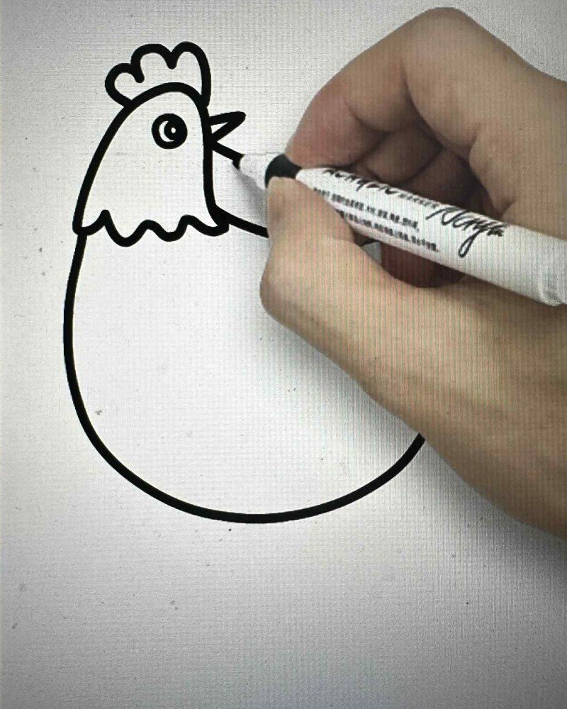 How to draw a cartoon hen 3