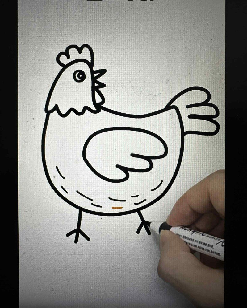How to draw a cartoon hen 6