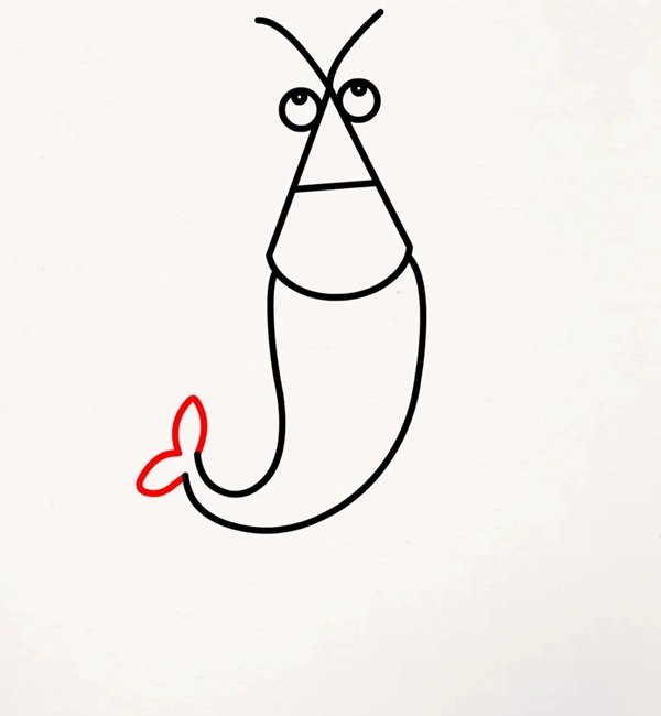 How to draw a cartoon shrimp 5