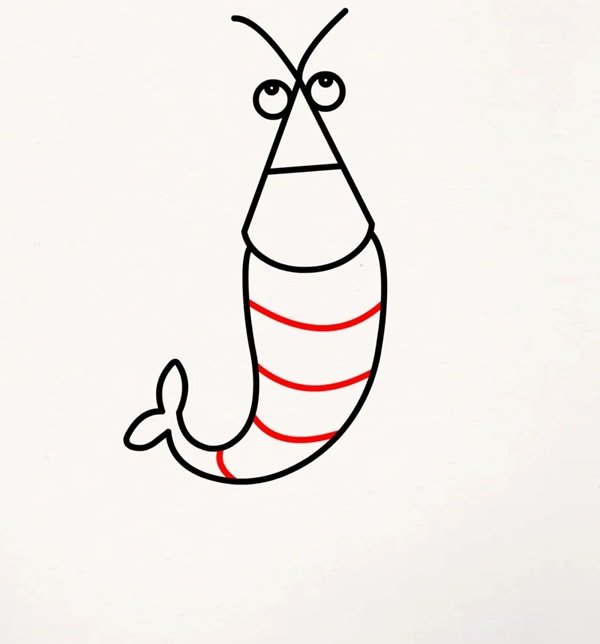 How to draw a cartoon shrimp 6