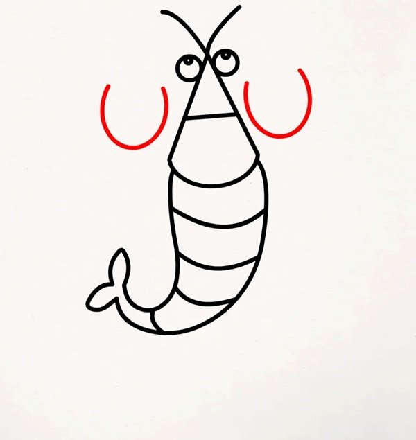 How to draw a cartoon shrimp 7