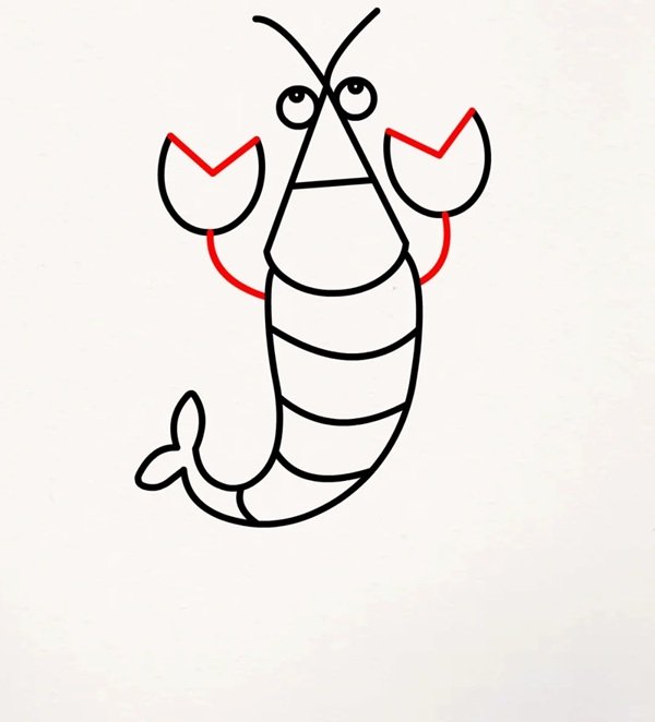How to draw a cartoon shrimp 8