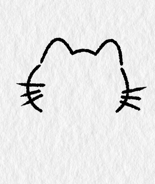How to draw a cat step by step 2