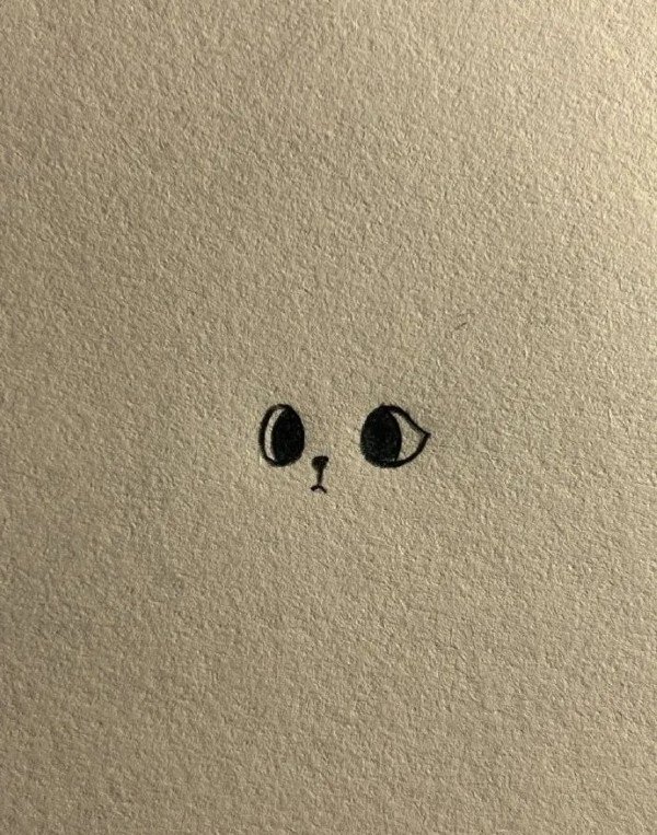 How to draw a cat easy step by step 1