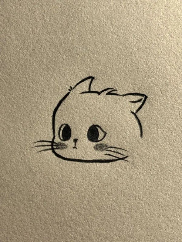 How to draw a cat easy step by step 2
