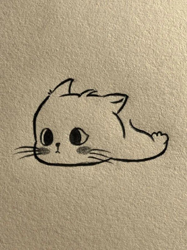 How to draw a cat easy step by step 3
