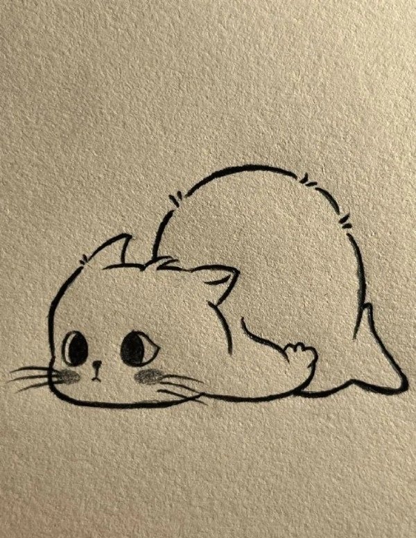 How to draw a cat easy step by step 4