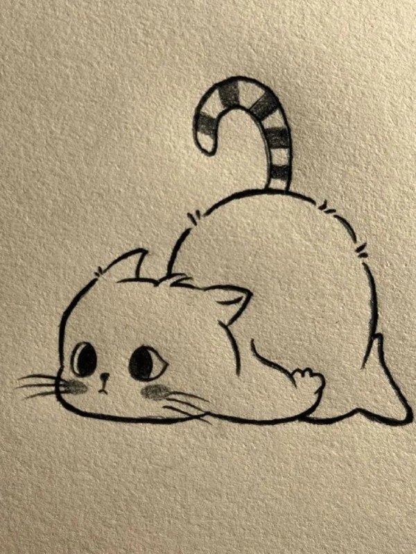 How to draw a cat easy step by step 5