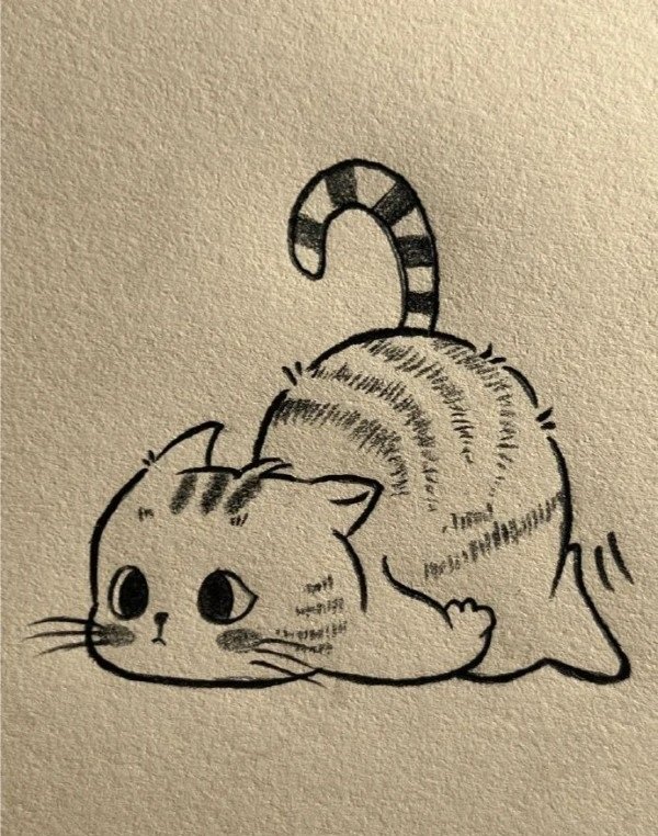 How to draw a cat easy step by step 6