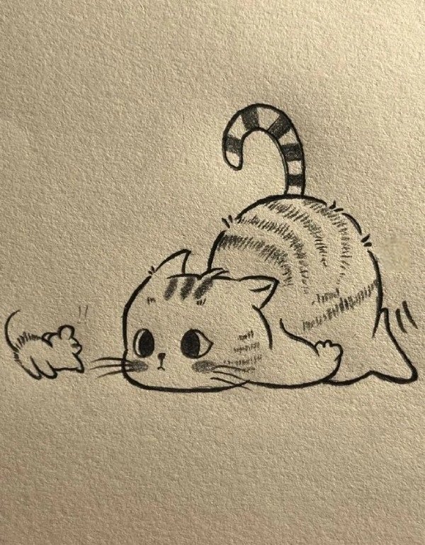 How to draw a cat easy step by step
