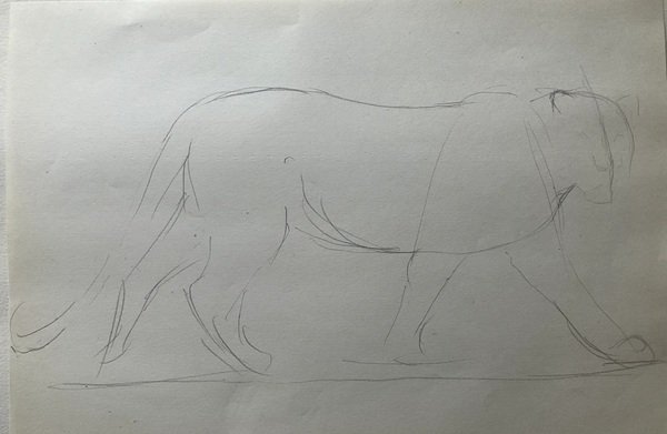 How to draw a cheetah 1