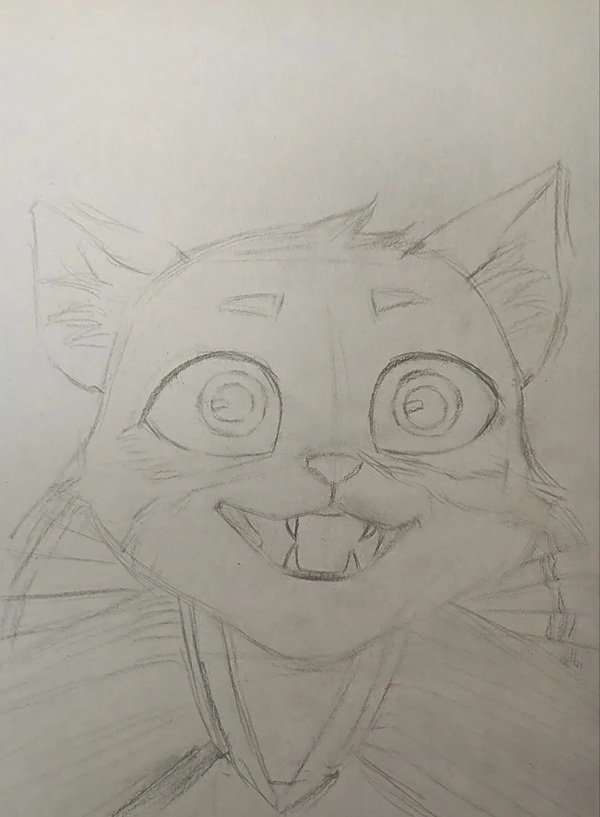 How to draw a cheetah easy 1