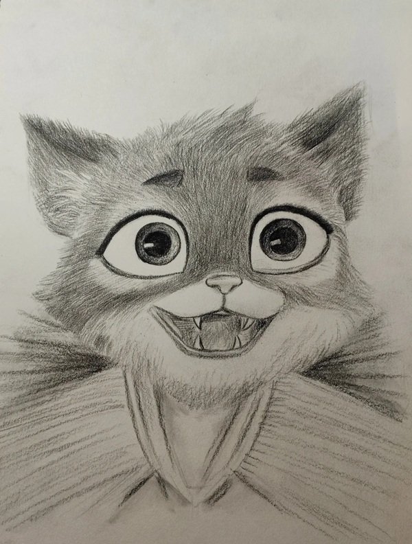 How to draw a cheetah easy 4
