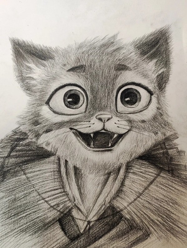 How to draw a cheetah easy 5