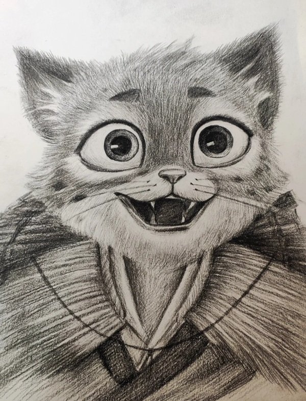 How to draw a cheetah easy 6