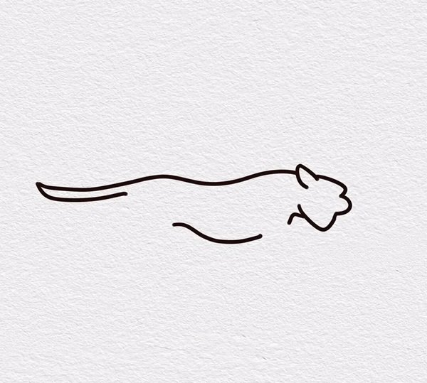 How to draw a cheetah for kids 2