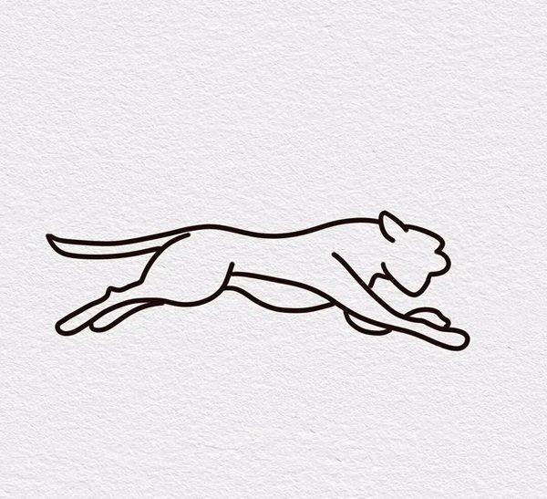 How to draw a cheetah for kids 3