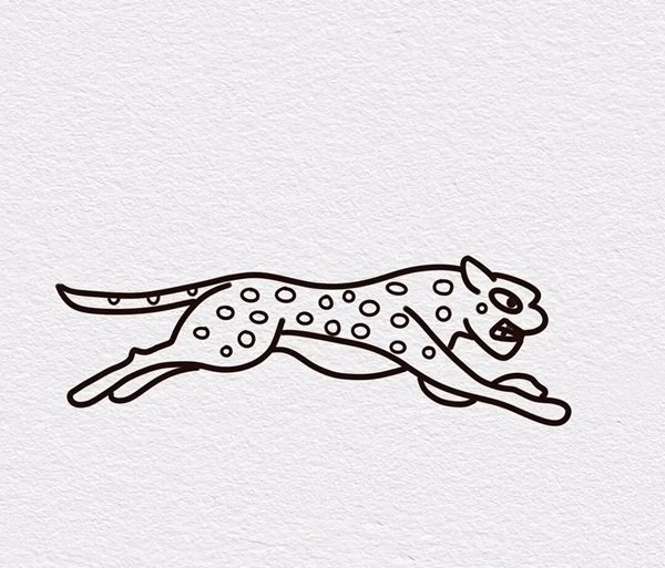 How to draw a cheetah for kids