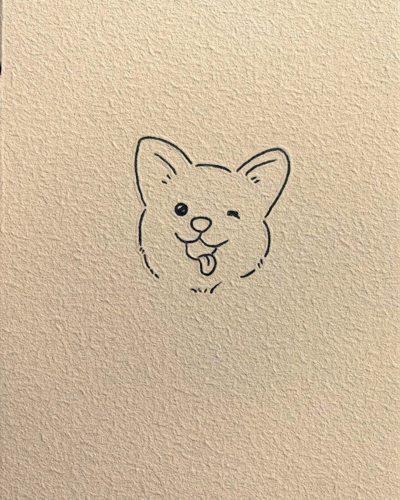 How to draw a corgi 3