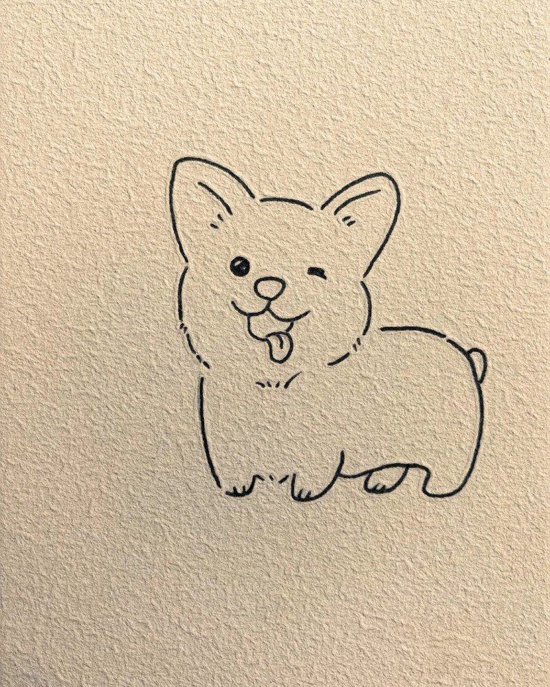 How to draw a corgi 4