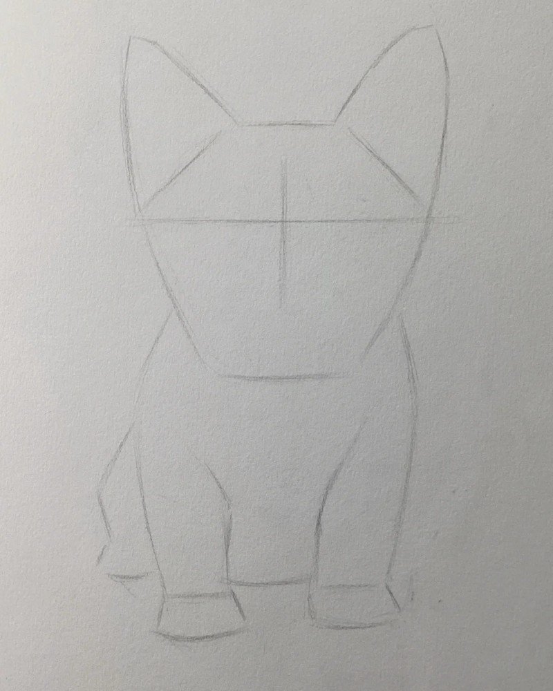 How to draw a corgi dog 1