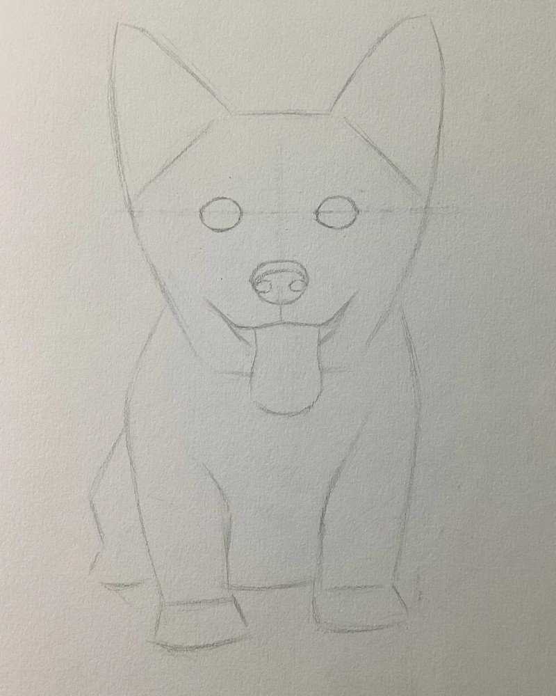 How to draw a corgi dog 2