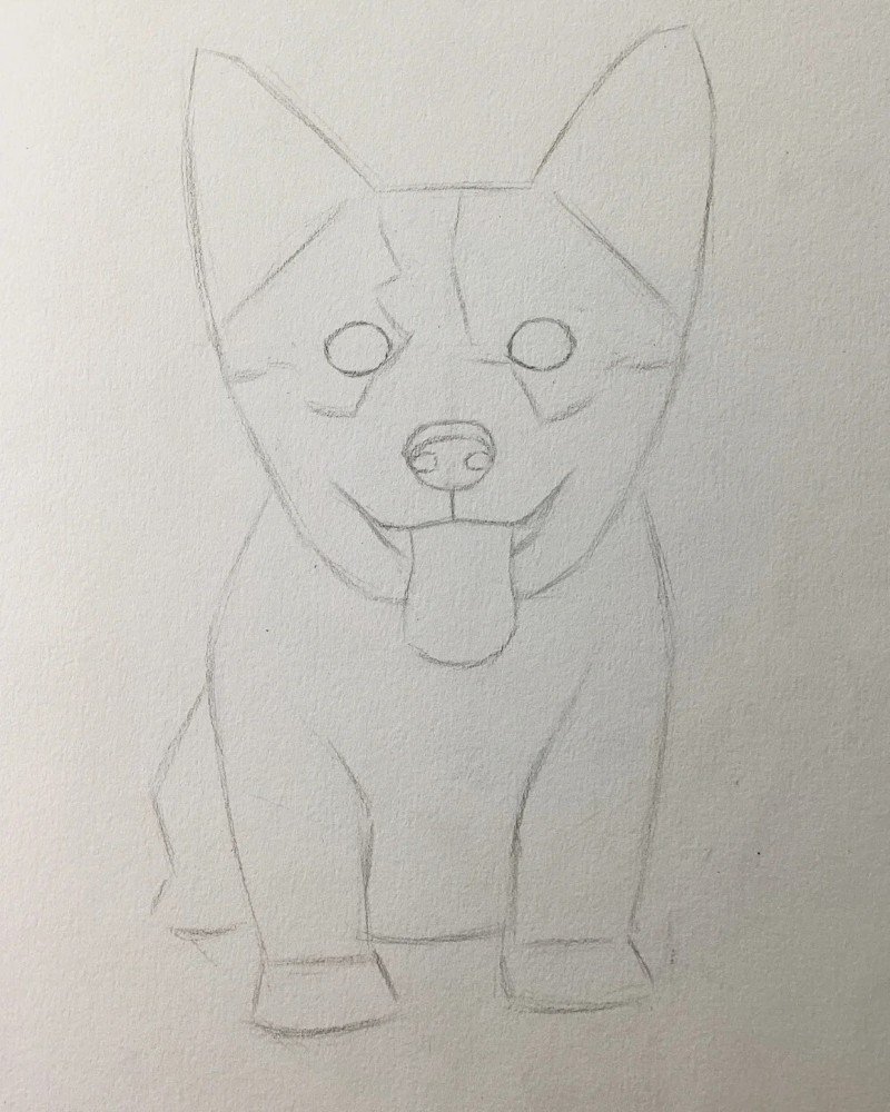 How to draw a corgi dog 3