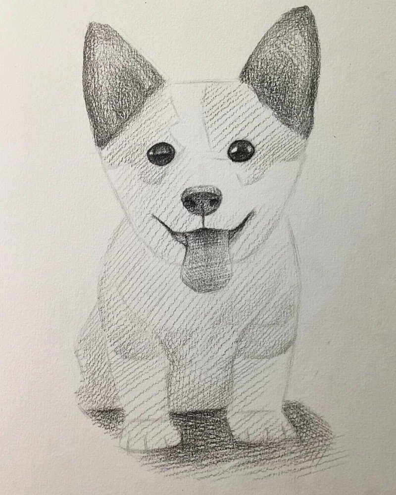 How to draw a corgi dog 4