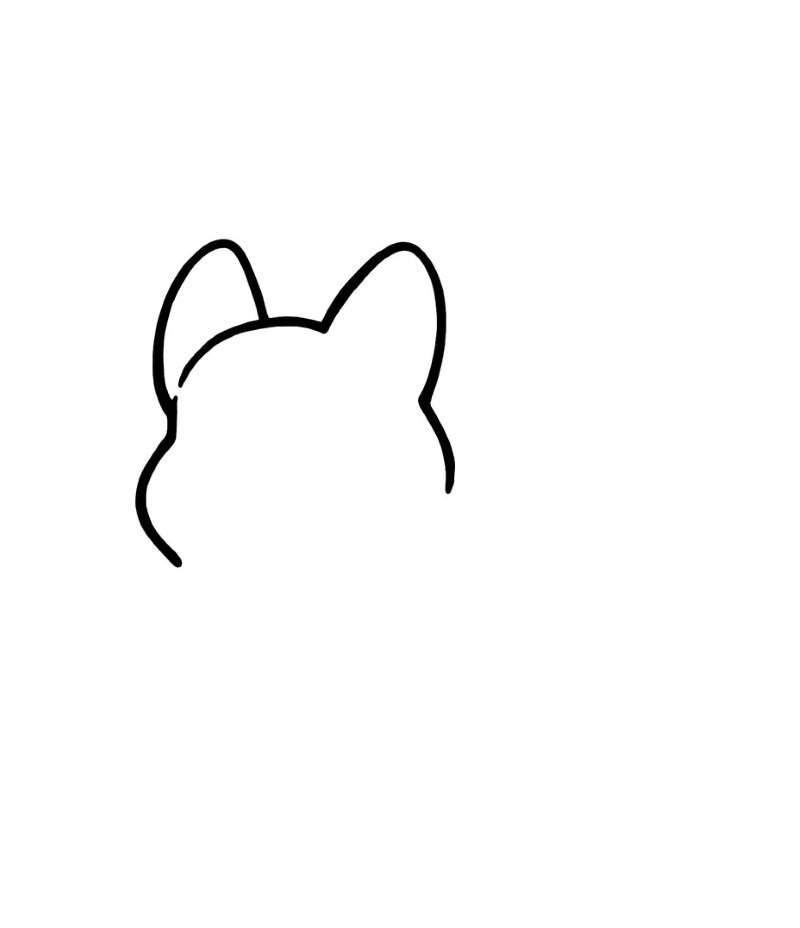 How to draw a corgi easy 1