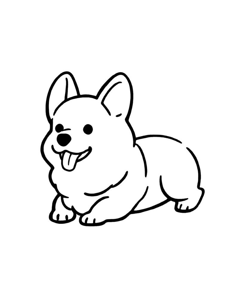 How to draw a corgi easy 5