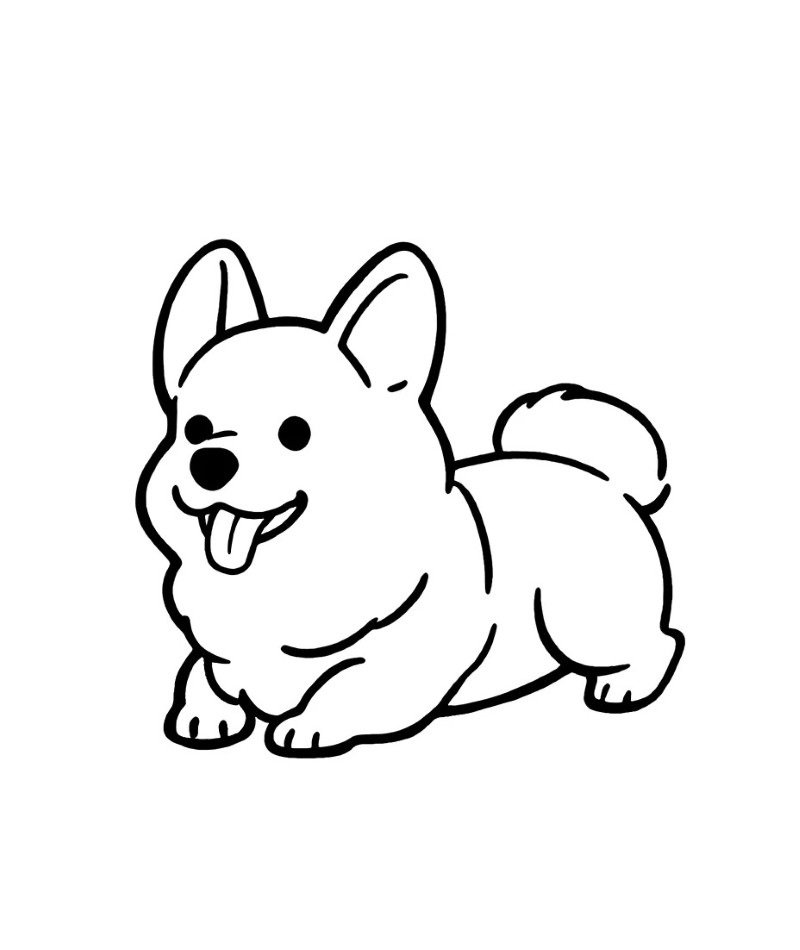 How to draw a corgi easy
