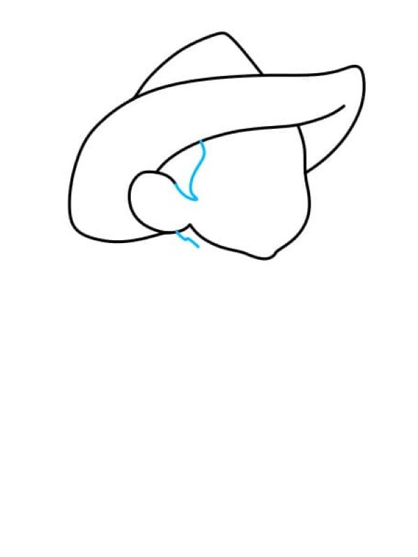 How to draw a cowboy 3