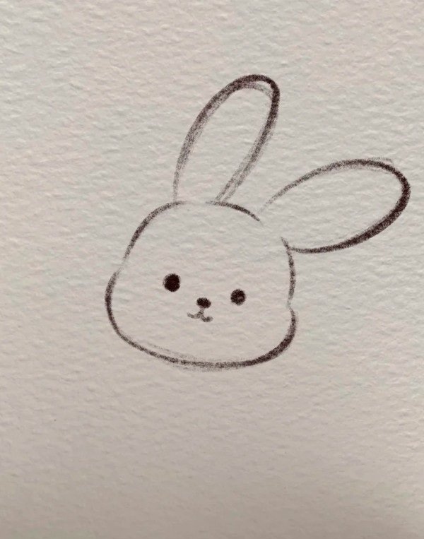 How to draw a cute Bunny rabbit 3