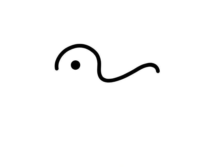 How to draw a cute duck easy step by step 2