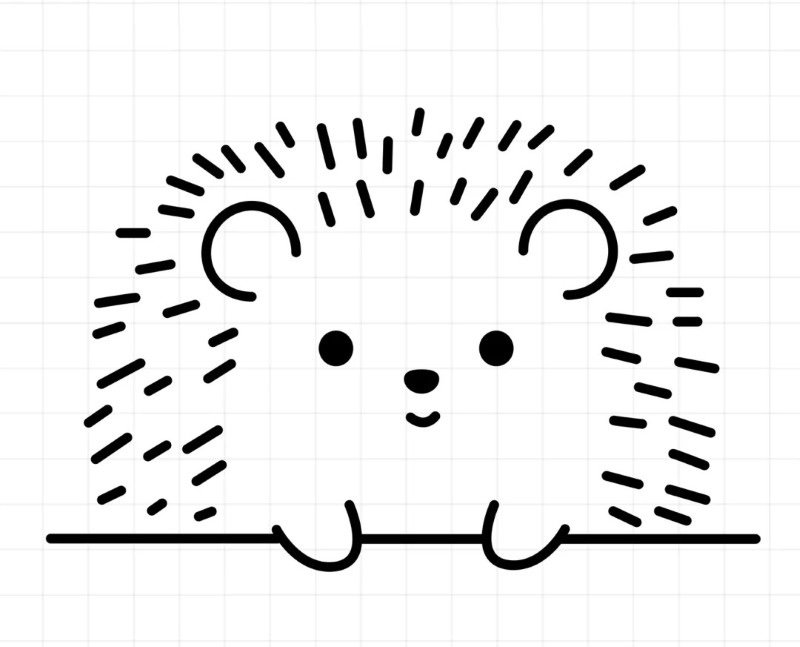 How to draw a cute Hedgehog 4