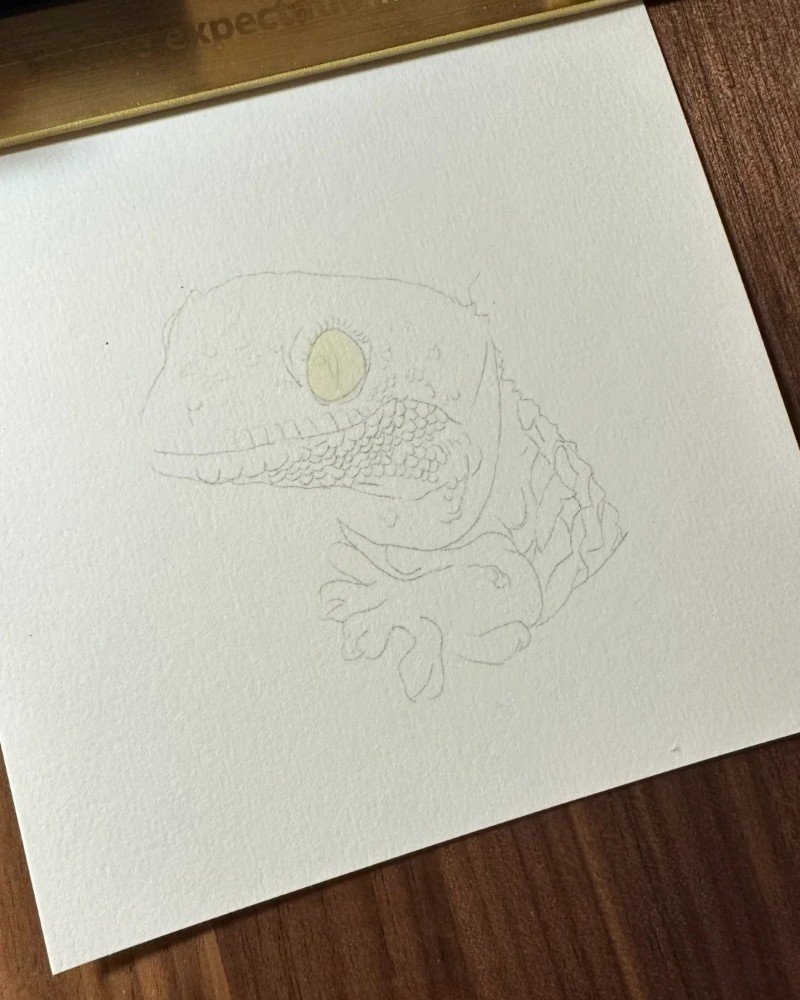 How to draw a cute Lizard 1