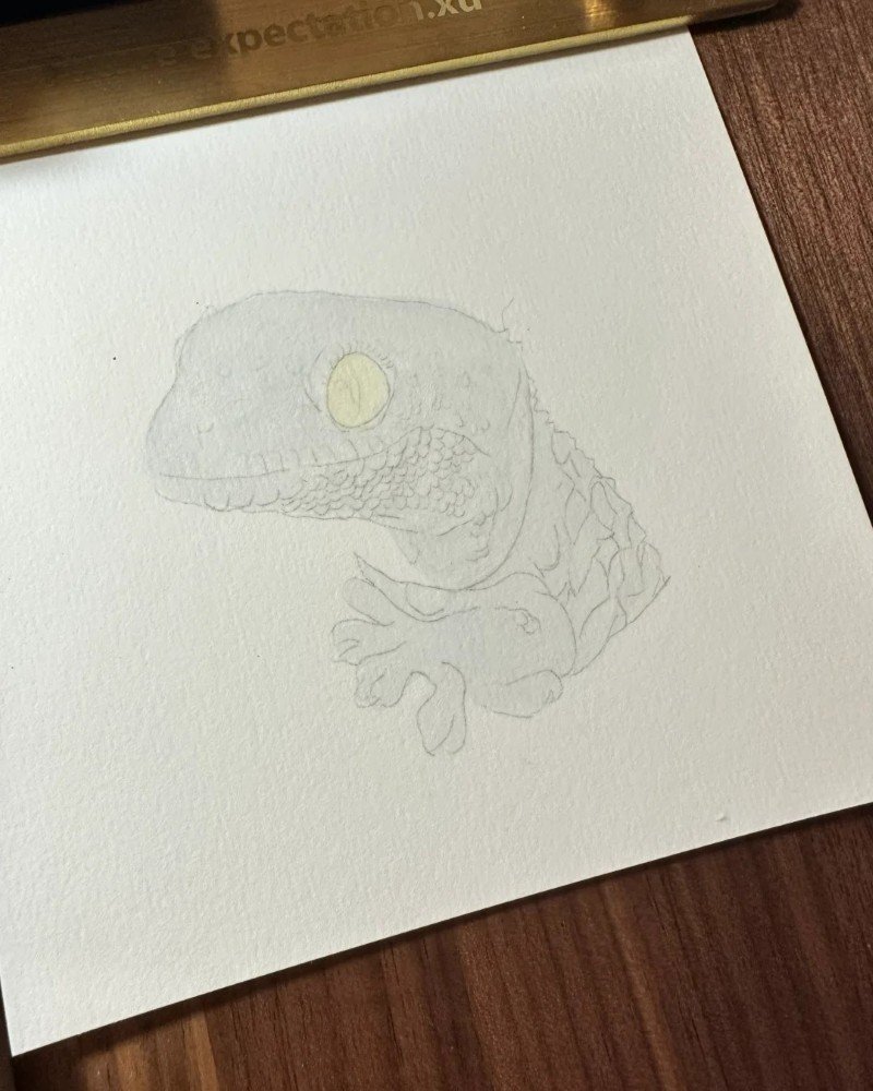 How to draw a cute Lizard 2