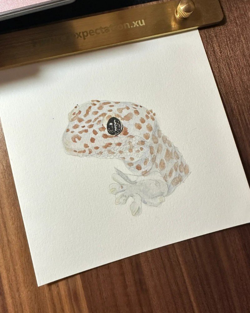 How to draw a cute Lizard 3