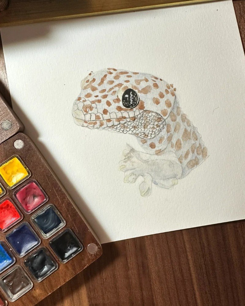 How to draw a cute Lizard 4