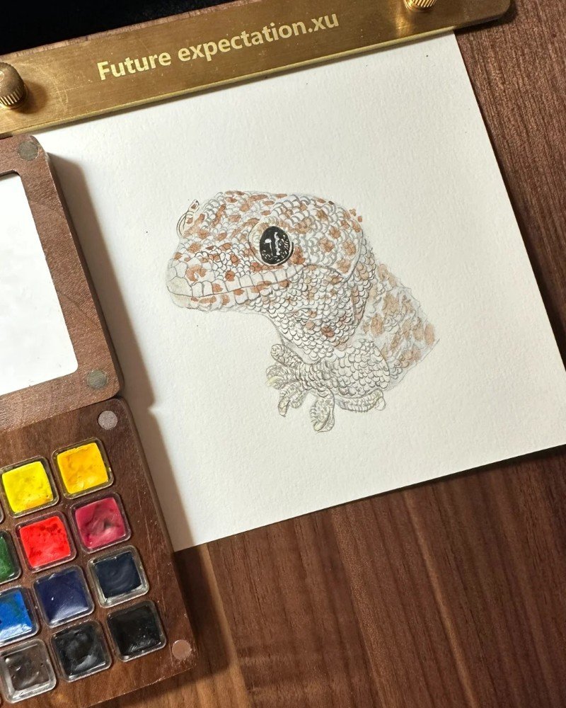 How to draw a cute Lizard 5
