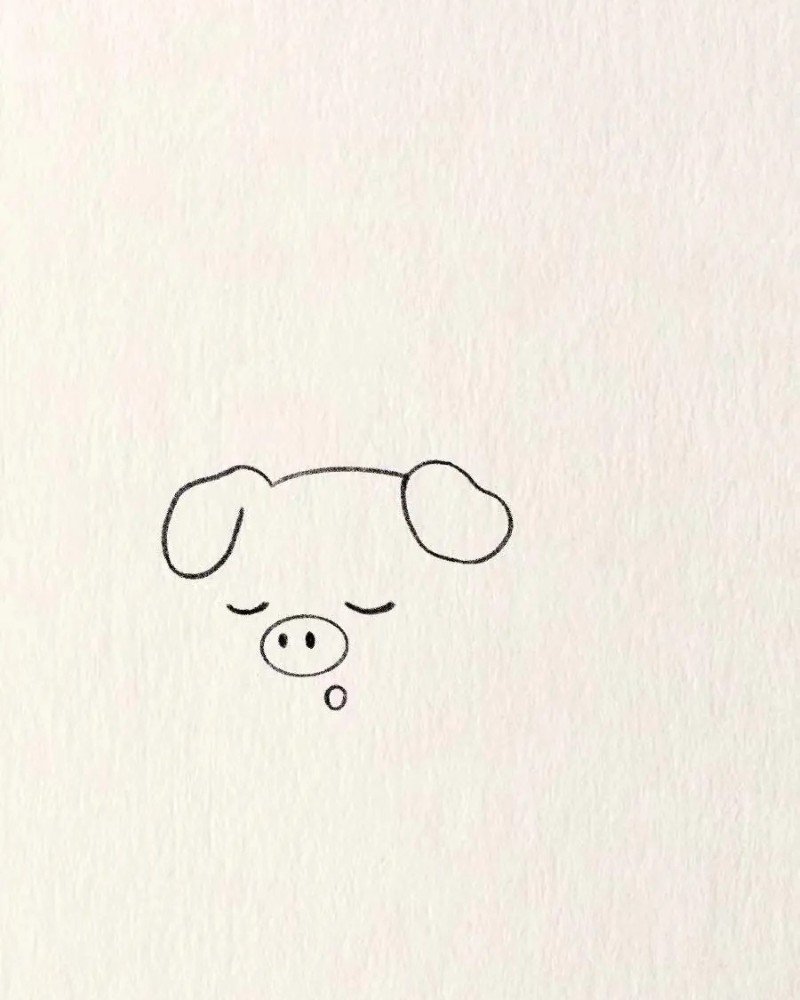 How to draw a cute pig 2