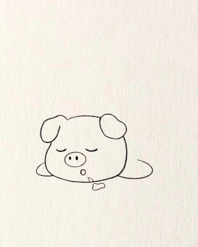 How to draw a cute pig 4