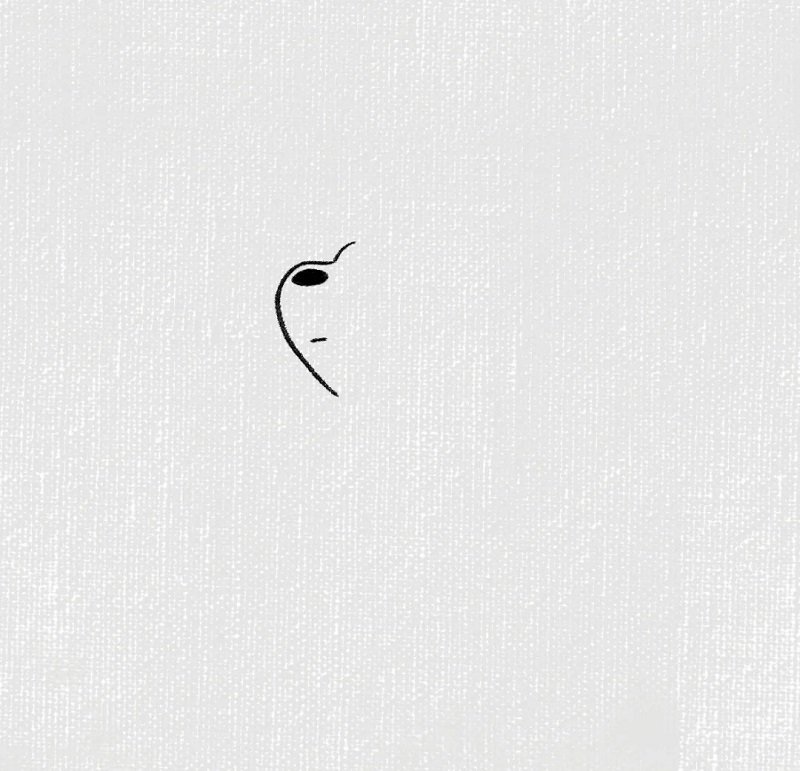 How to draw a cute polar bear 1