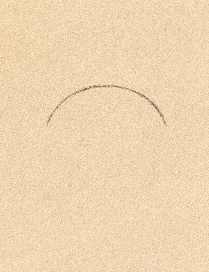 How to draw a cute squirrel 1