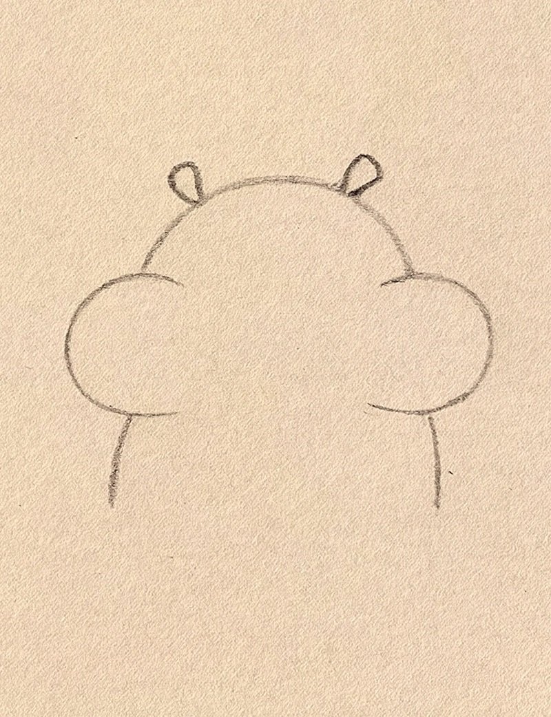 How to draw a cute squirrel 3