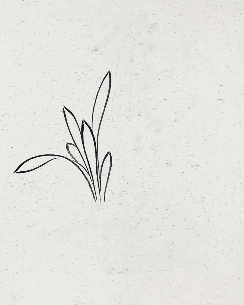 How to draw a daffodil 1