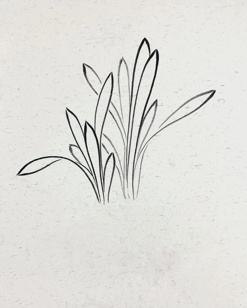 How to draw a daffodil 2