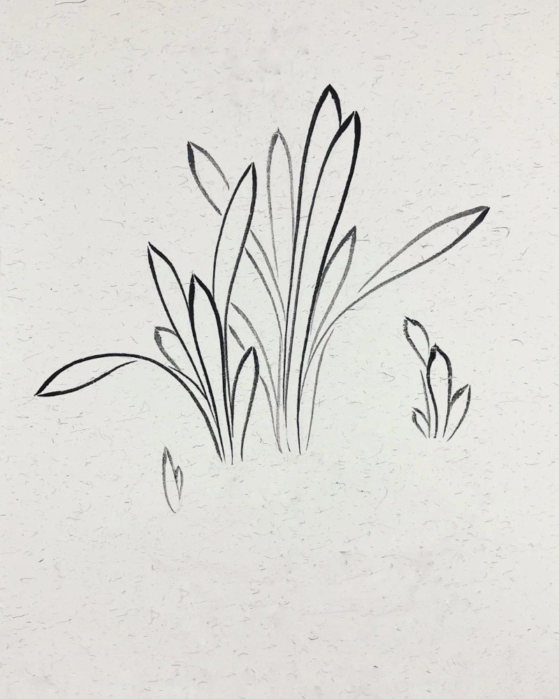 How to draw a daffodil 3