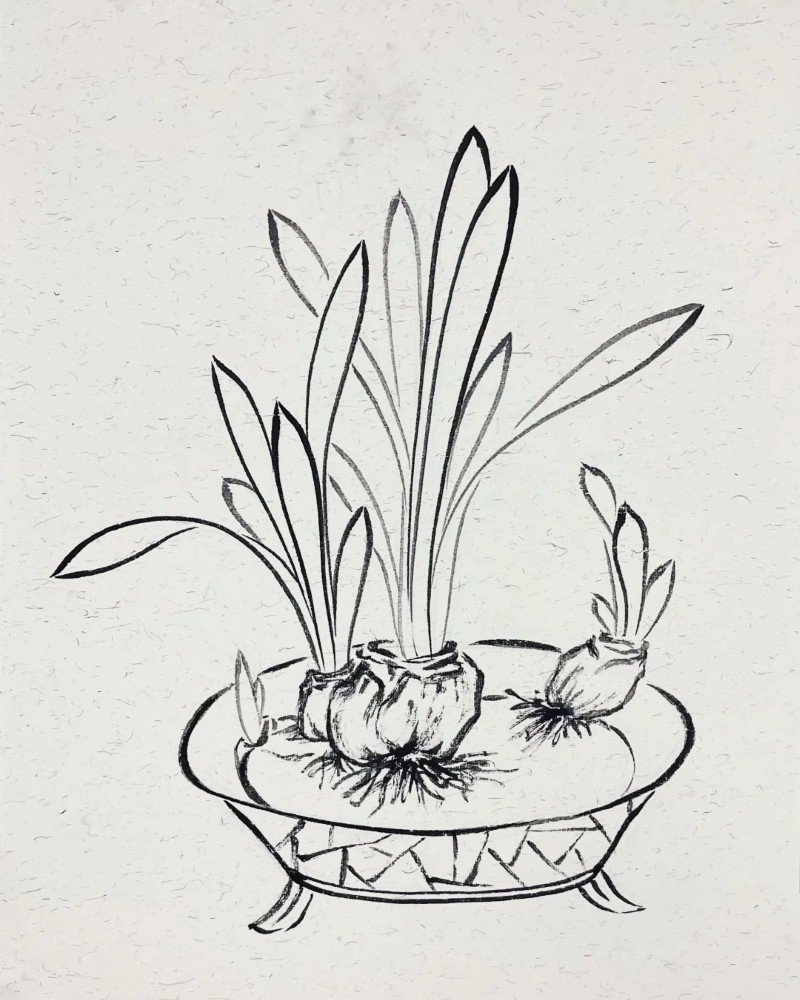 How to draw a daffodil 5