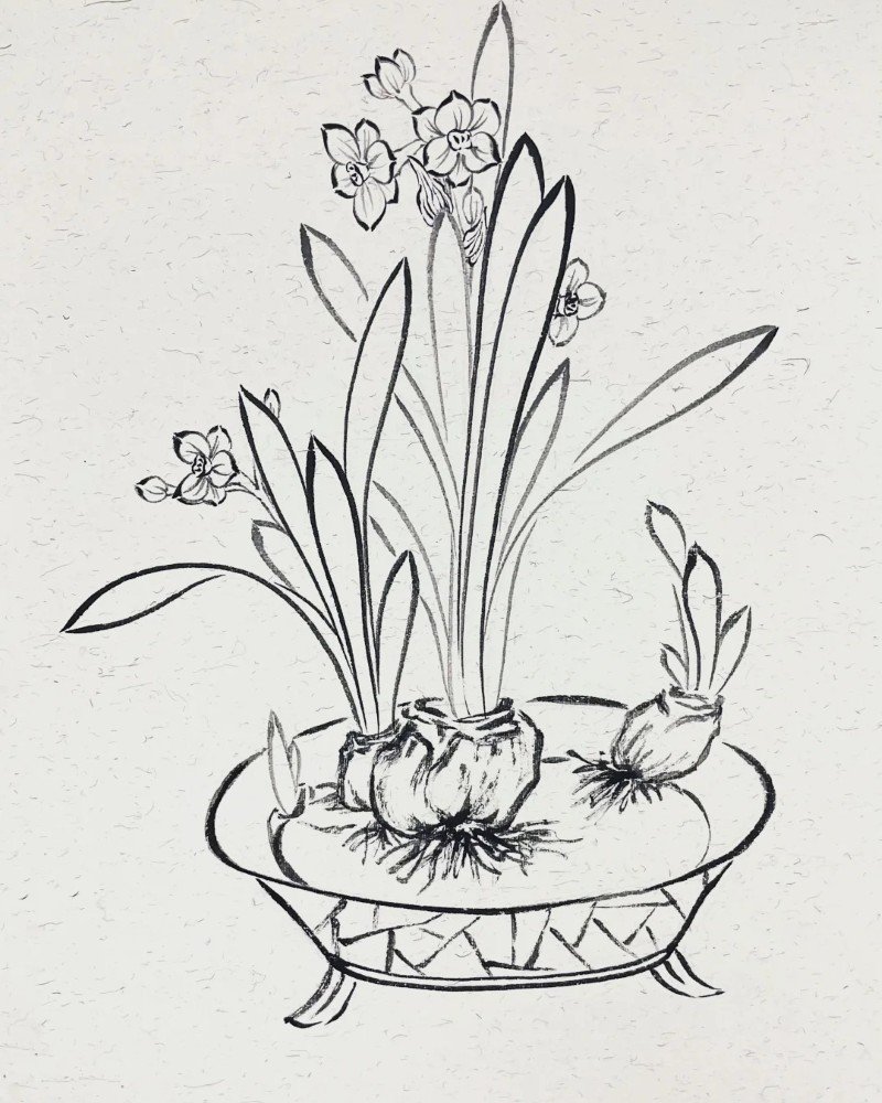 How to draw a daffodil 6